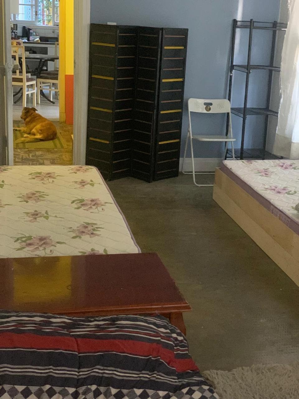 Espaco Colaborativo Coexistir Hostel São Paulo Ngoại thất bức ảnh